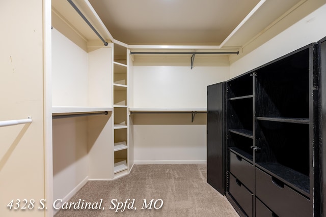 spacious closet with light colored carpet