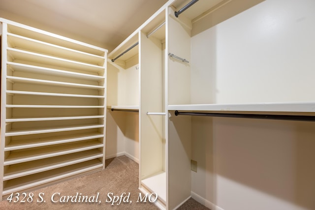 walk in closet with carpet flooring