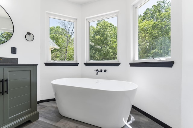 bathroom with wood-type flooring, a wealth of natural light, and a bath