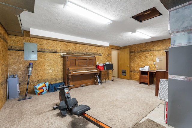 workout area featuring a textured ceiling, electric panel, and carpet floors