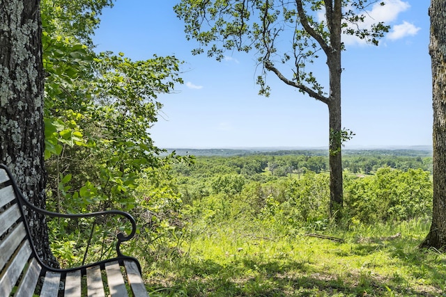 view of local wilderness