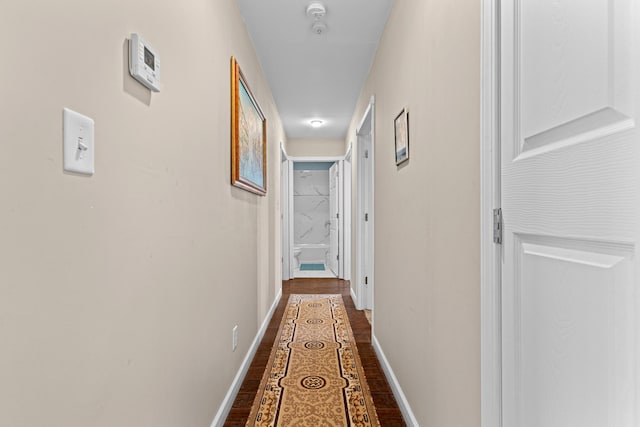 hallway featuring dark hardwood / wood-style flooring