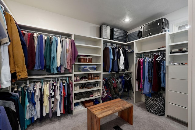 spacious closet with carpet