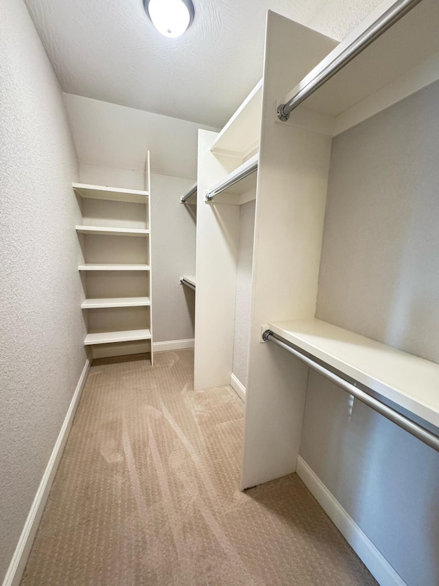 spacious closet with light colored carpet