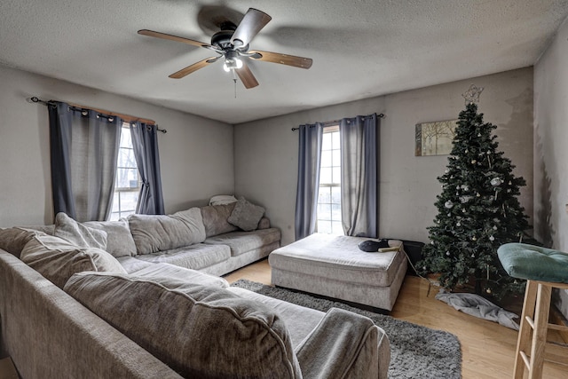 living room featuring ceiling fan, a textured ceiling, and light wood-type flooring