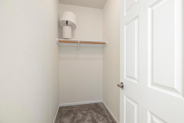 spacious closet featuring carpet