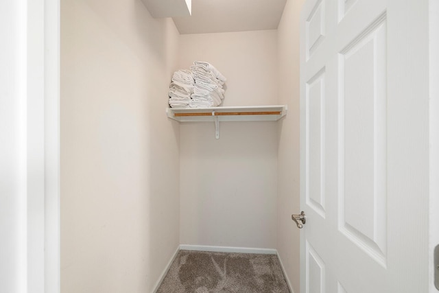 walk in closet with carpet