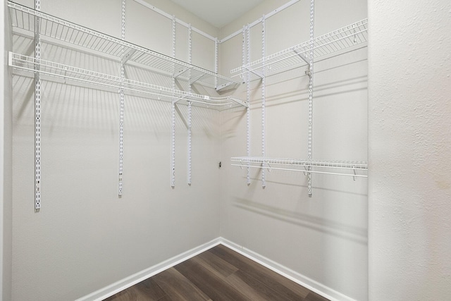 walk in closet featuring wood-type flooring