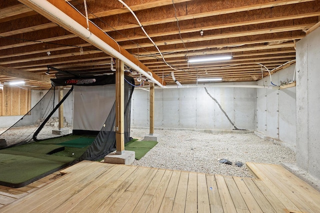 basement featuring hardwood / wood-style flooring