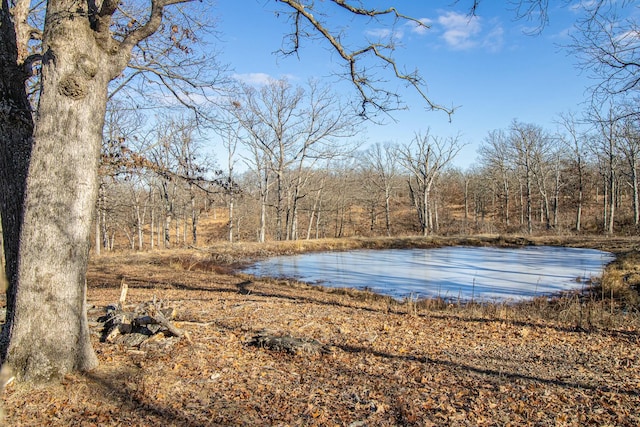 view of water feature