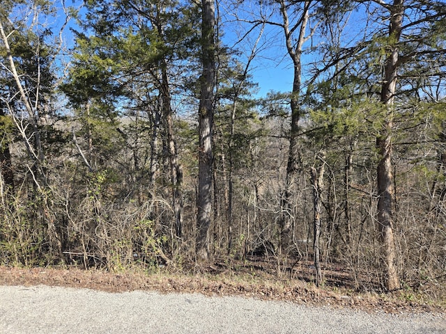 TBD Honey Ln, Rockaway Beach MO, 65740 land for sale