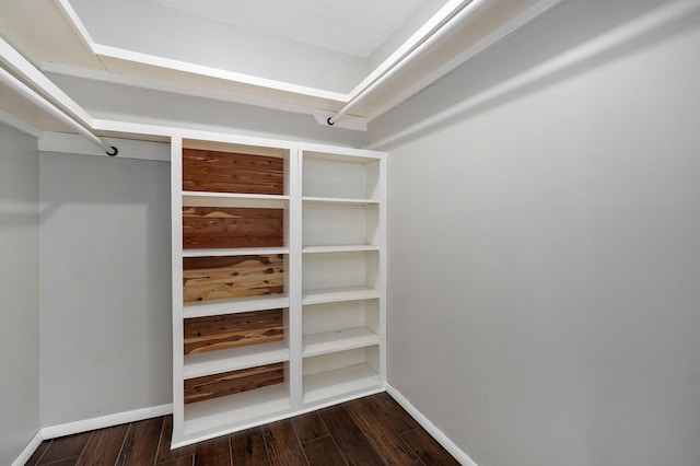 spacious closet with dark hardwood / wood-style flooring