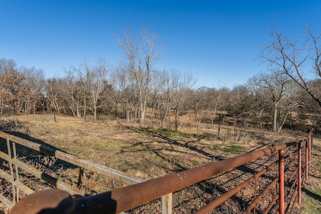 view of yard with a rural view