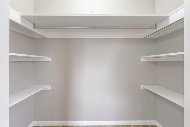 walk in closet with wood-type flooring