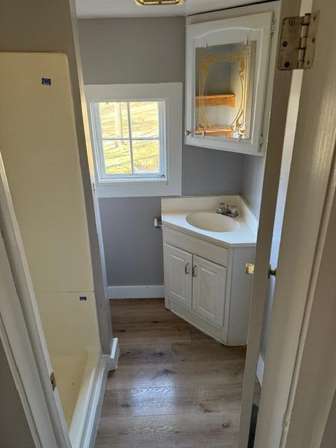 bathroom featuring wood-type flooring and vanity