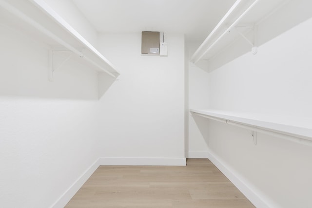 walk in closet featuring hardwood / wood-style flooring