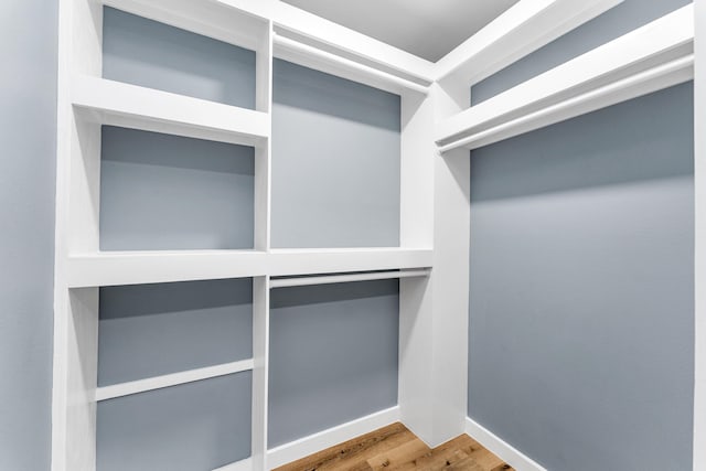 walk in closet with hardwood / wood-style flooring