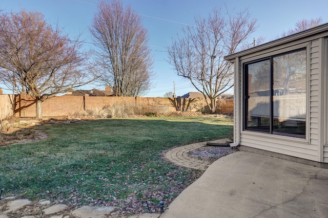 view of yard featuring a patio area