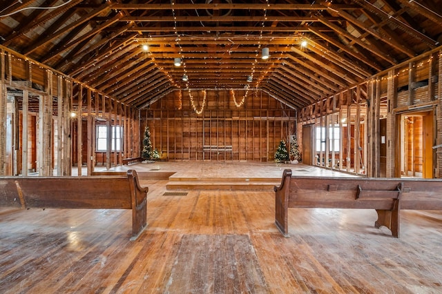 misc room with lofted ceiling and plenty of natural light