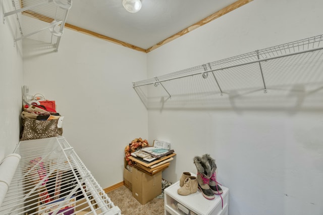 walk in closet with light colored carpet