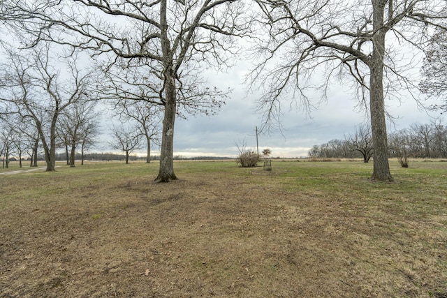 view of yard with a rural view