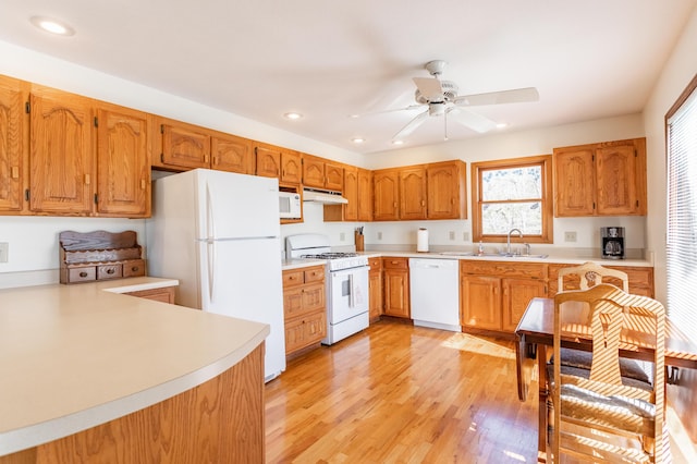 kitchen featuring sink, white appliances, light hardwood / wood-style flooring, and ceiling fan