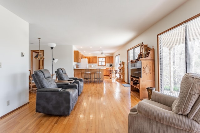 living room with light hardwood / wood-style flooring and a healthy amount of sunlight