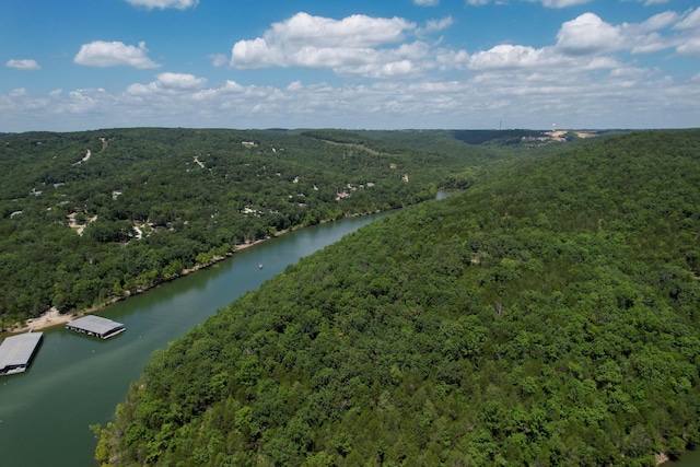 31 Bluebird Way Unit 2, Branson, MO 65616 - photo 44