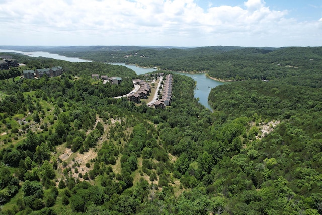 31 Bluebird Way Unit 2, Branson, MO 65616 - photo 45