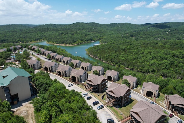 31 Bluebird Way Unit 2, Branson, MO 65616 - photo 46