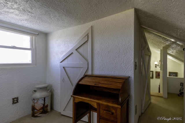 interior space with light carpet and a textured ceiling