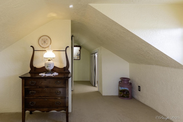 additional living space featuring lofted ceiling, light colored carpet, and a textured ceiling