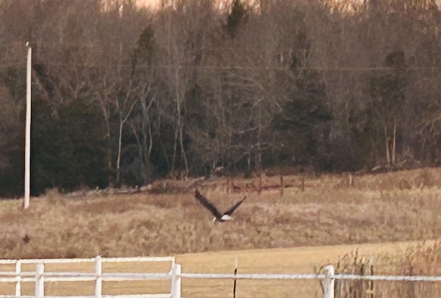 view of yard with a rural view