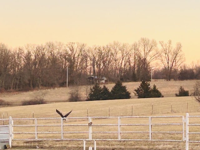 yard at dusk with a rural view