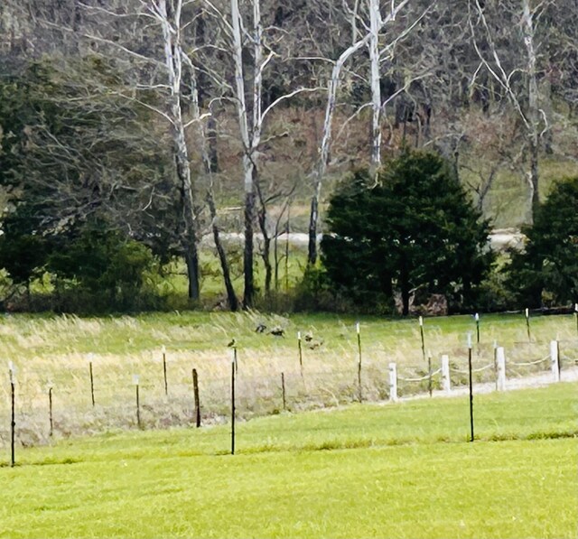 view of yard featuring a rural view