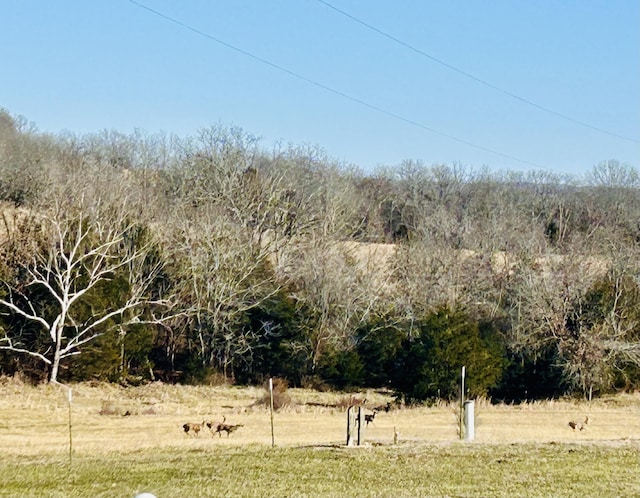 view of landscape with a rural view