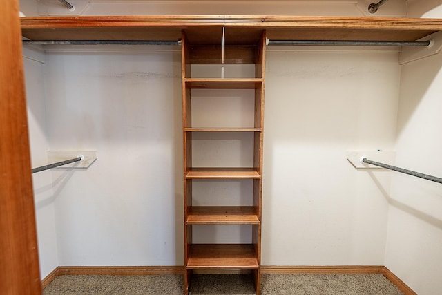 walk in closet featuring carpet floors