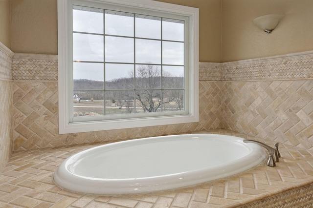 bathroom with a bathing tub