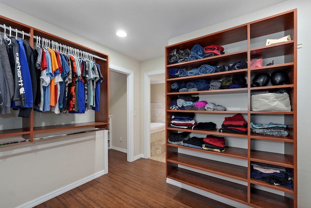 walk in closet featuring wood-type flooring