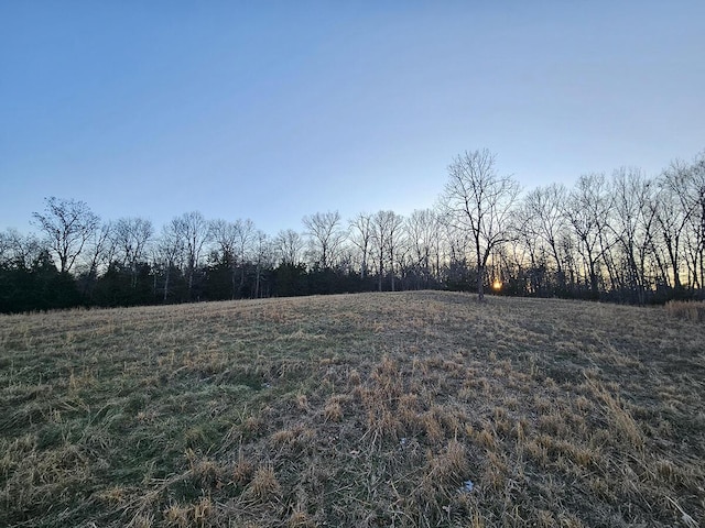 view of local wilderness featuring a rural view