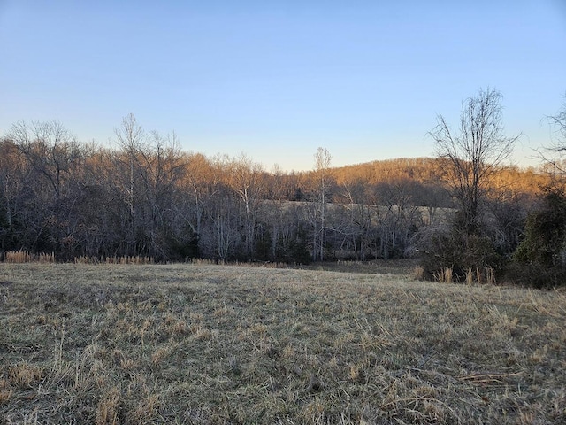 view of local wilderness featuring a rural view