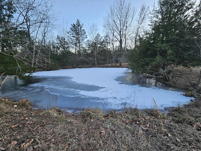 view of water feature