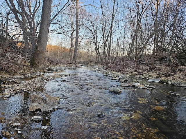 view of local wilderness