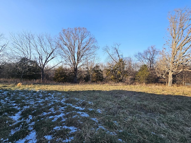 view of local wilderness