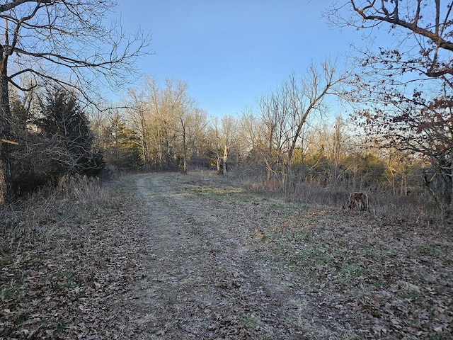 view of road