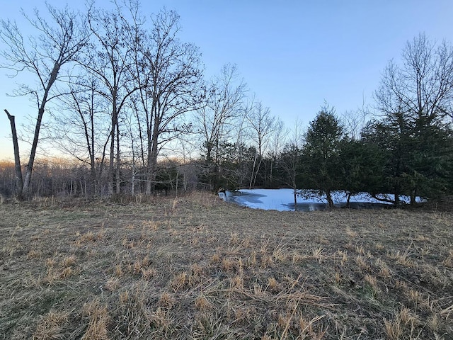 view of yard with a water view