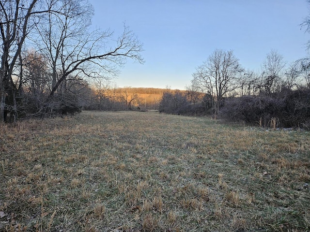 view of yard featuring a rural view