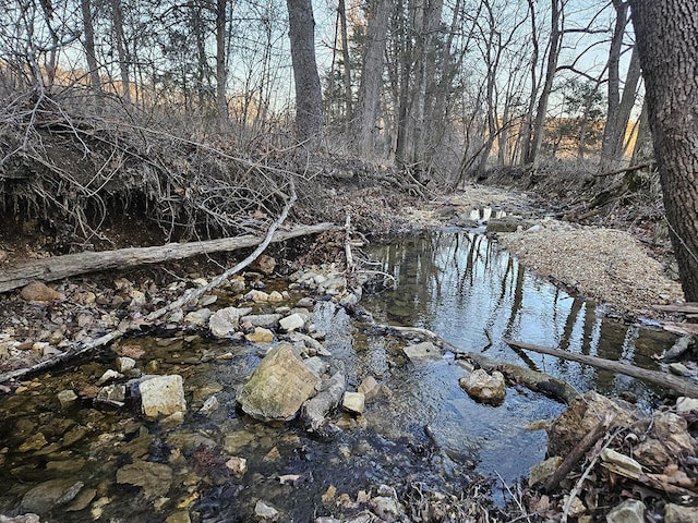 view of nature