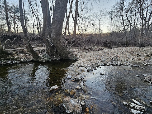 view of local wilderness