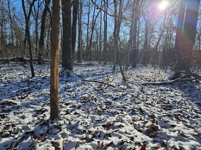 view of snow covered land